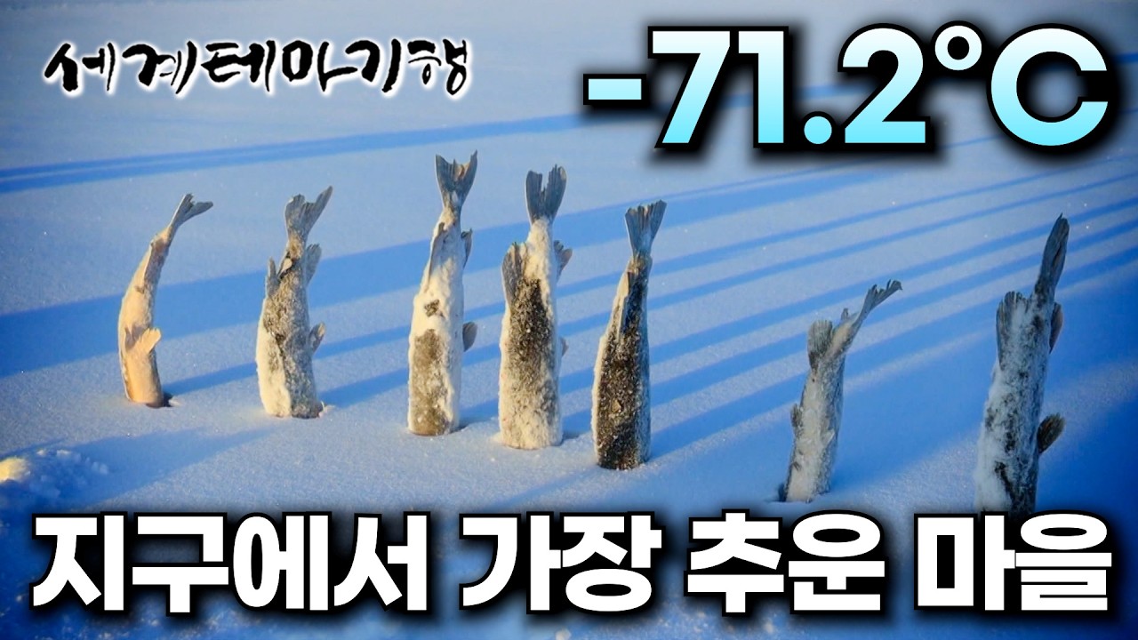 최저기온 영하 71.2도. 전 세계에서 가장 추운 마을인 오이먀콘 사람은 어떻게 살까? | 모든 게 얼어버리는 눈과 얼음의 땅, 사하공화국 | 세계테마기행 | #세테깅