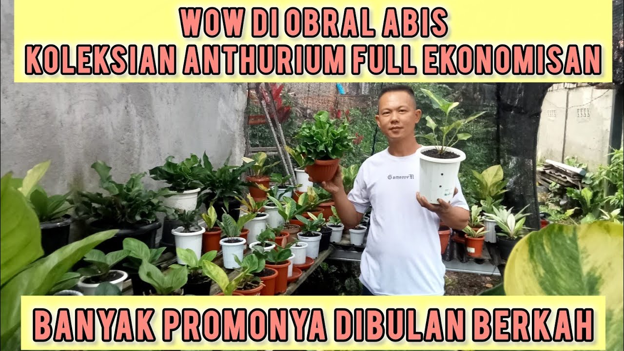 WOW DI OBRAL BESAR BESARAN ‼️BANYAK SEKALI PROMONYA DIBULAN BERKAH ,KEPOIN AJA . SIAP SIAP BORONG