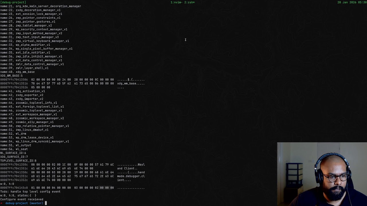 Building a debugger With Zig For Zig | Rendering skill issues with Wayland client