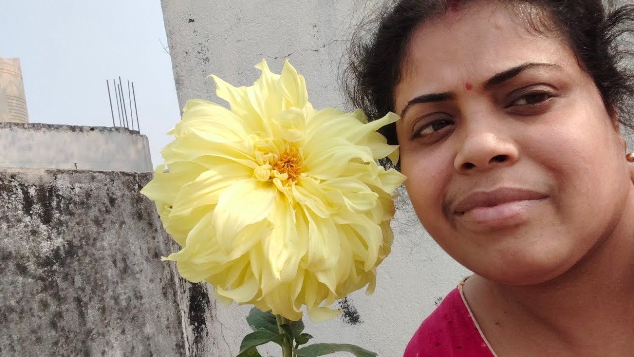 Aaj barite banalam sim chorchori r evening sona r babai khelo boba.