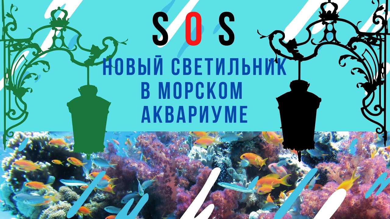 Часть 10 Свет в морском аквариуме (продолжение)