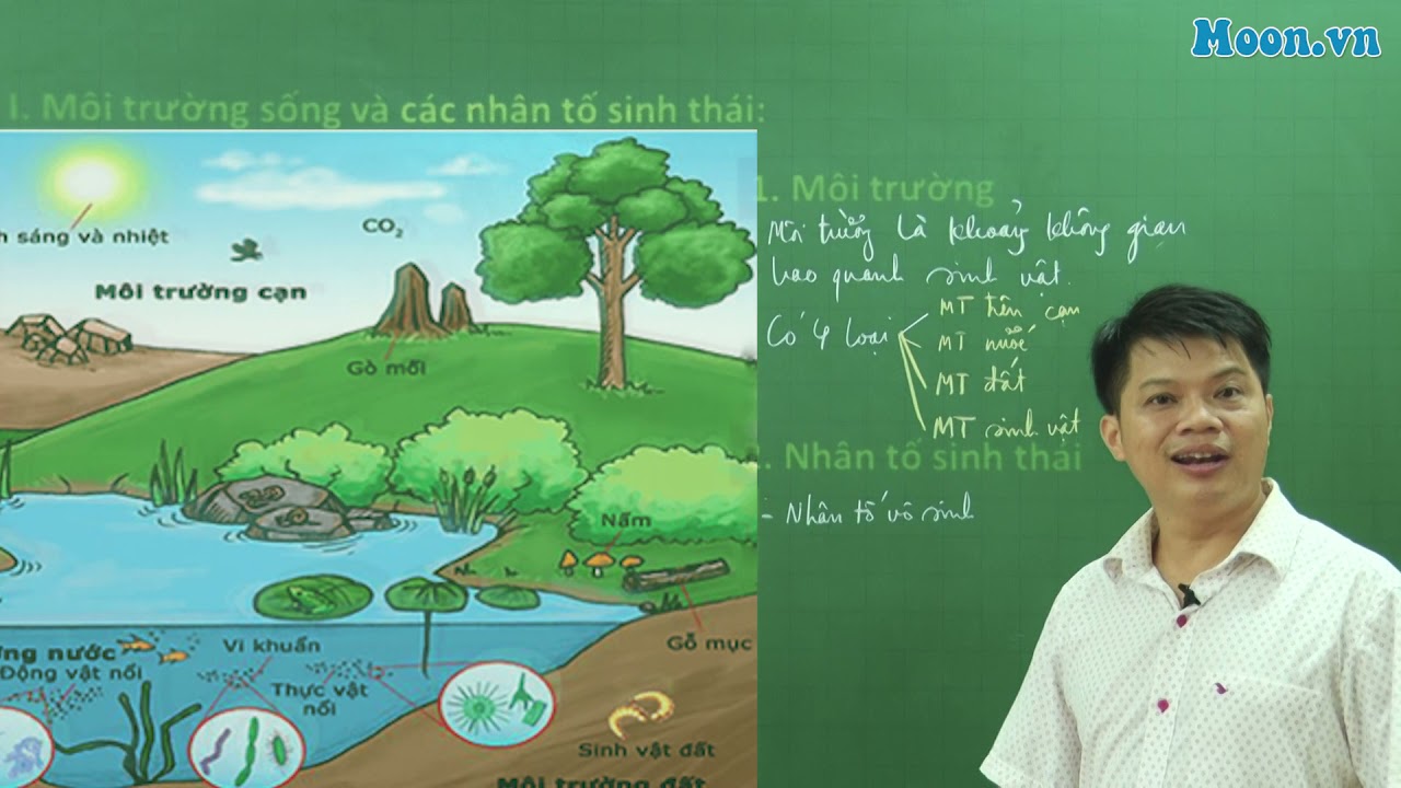 Bài 29 - SH12: Môi trường và các nhân tố Sinh thái