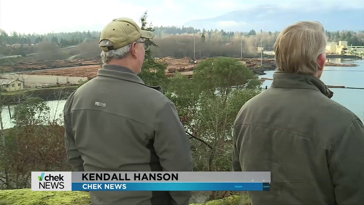 ‘Hung out to dry’: Western Forest Products shuts down Chemainus sawmill for all of 2026