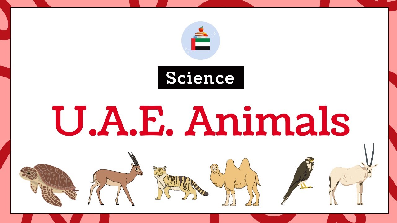 Learn About UAE Animals