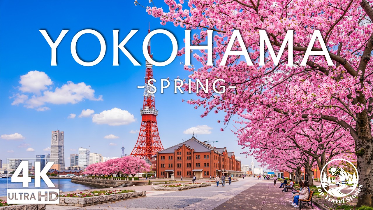 Yokohama in Spring 4K [Japan] 🇯🇵 Sakura Season, Bayfront Skyline & Beautiful City Landscapes