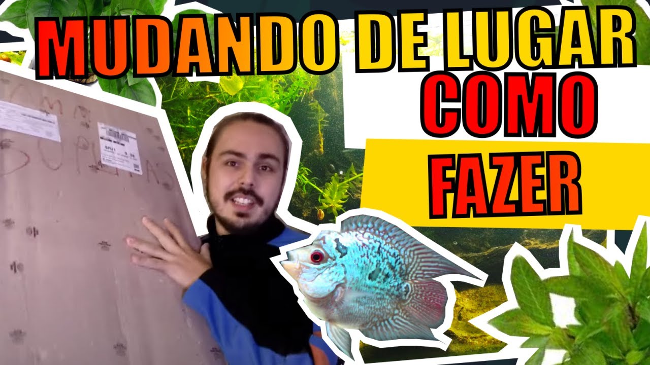 🔴VOU ME MUDAR! TRANSPORTANDO AQUÁRIO |Mr. Betta|