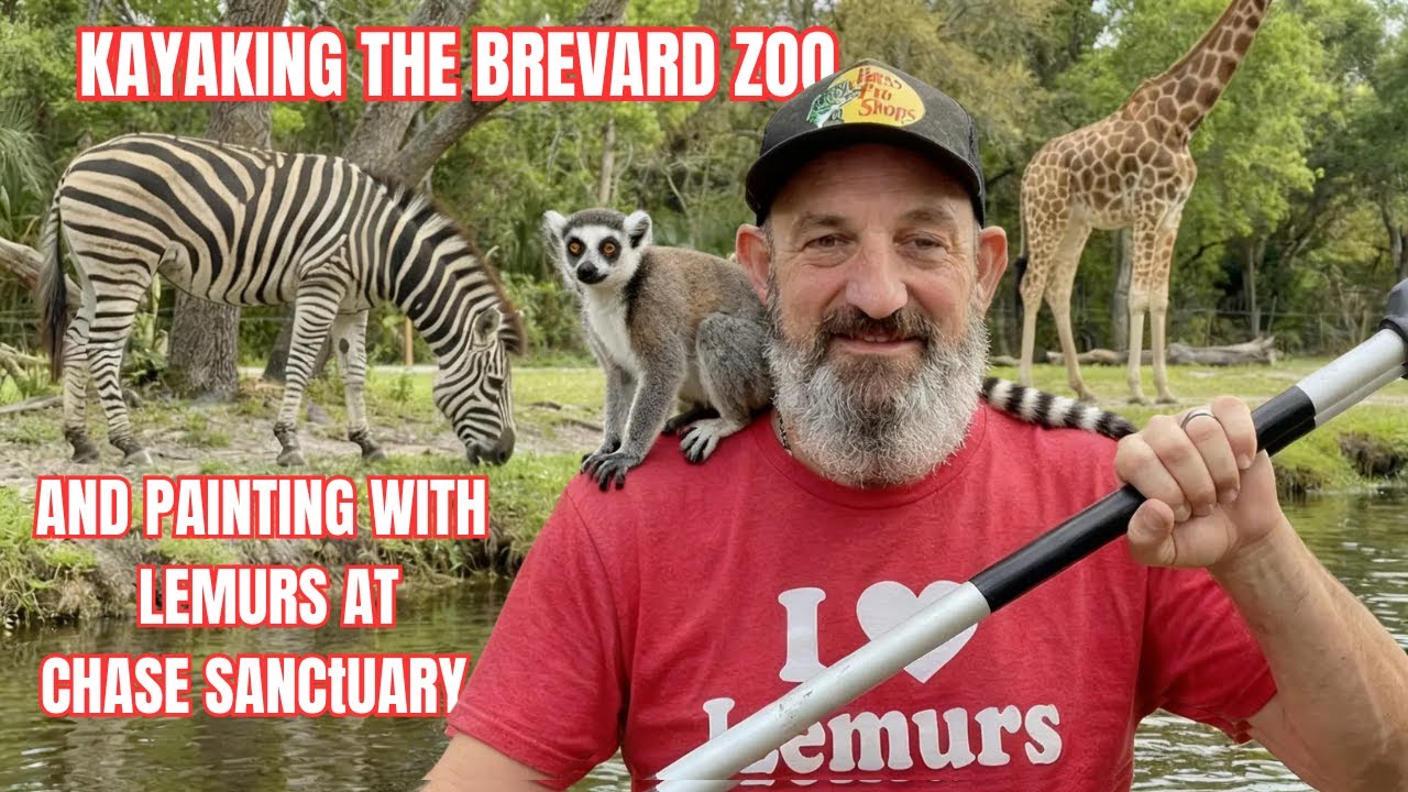 Kayaking the Brevard Zoo and painting with lemurs at the Chase Sanctuary