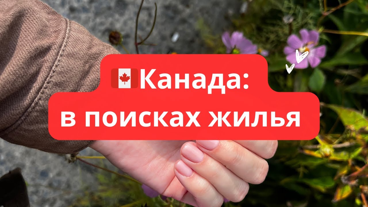🇨🇦Канада: в поисках жилья 😕