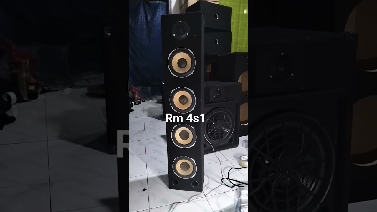 RM 4S1 