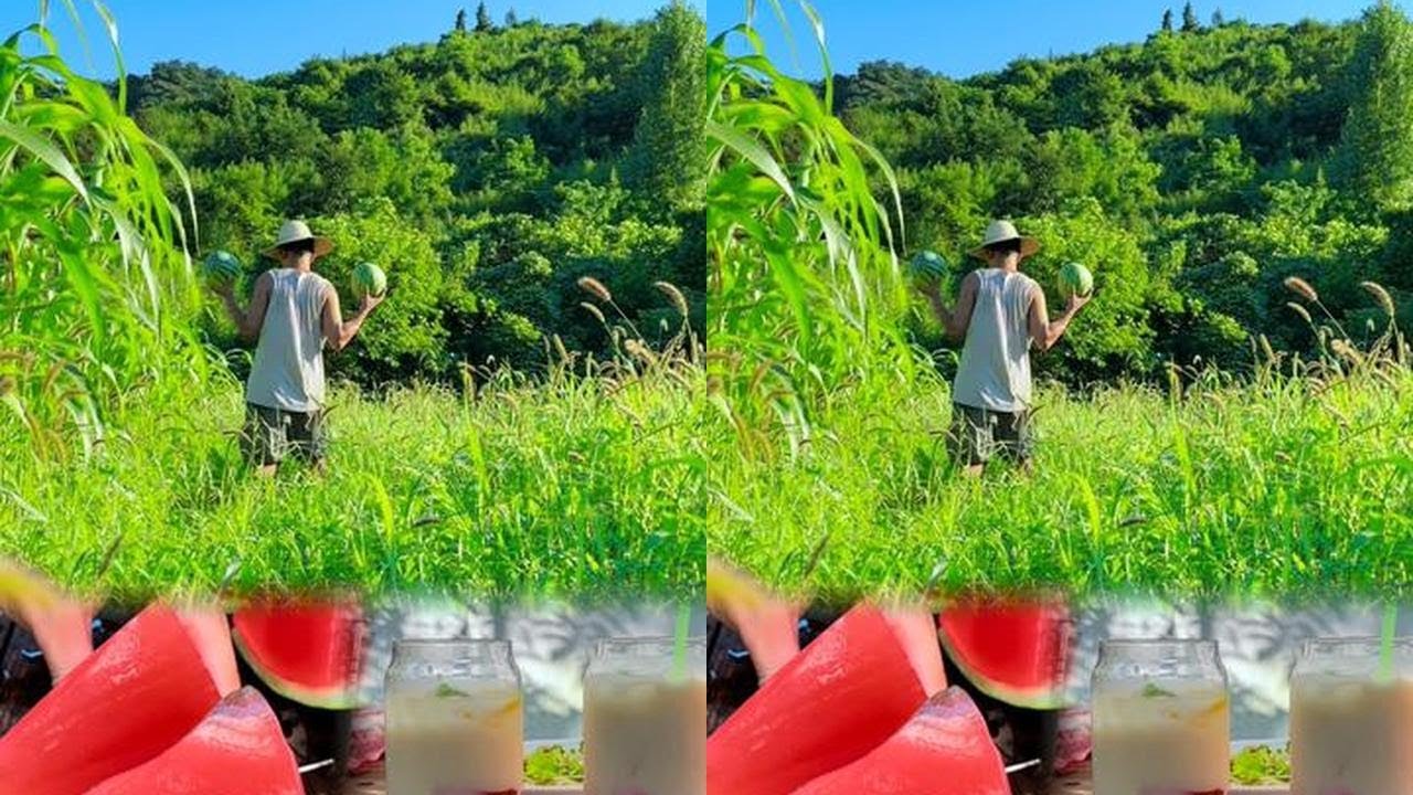 Summer: Eat Watermelon #NewFarmerPlan2024 #MyRuralLife #RuralDelicacies #Watermelon #WatermelonJelly