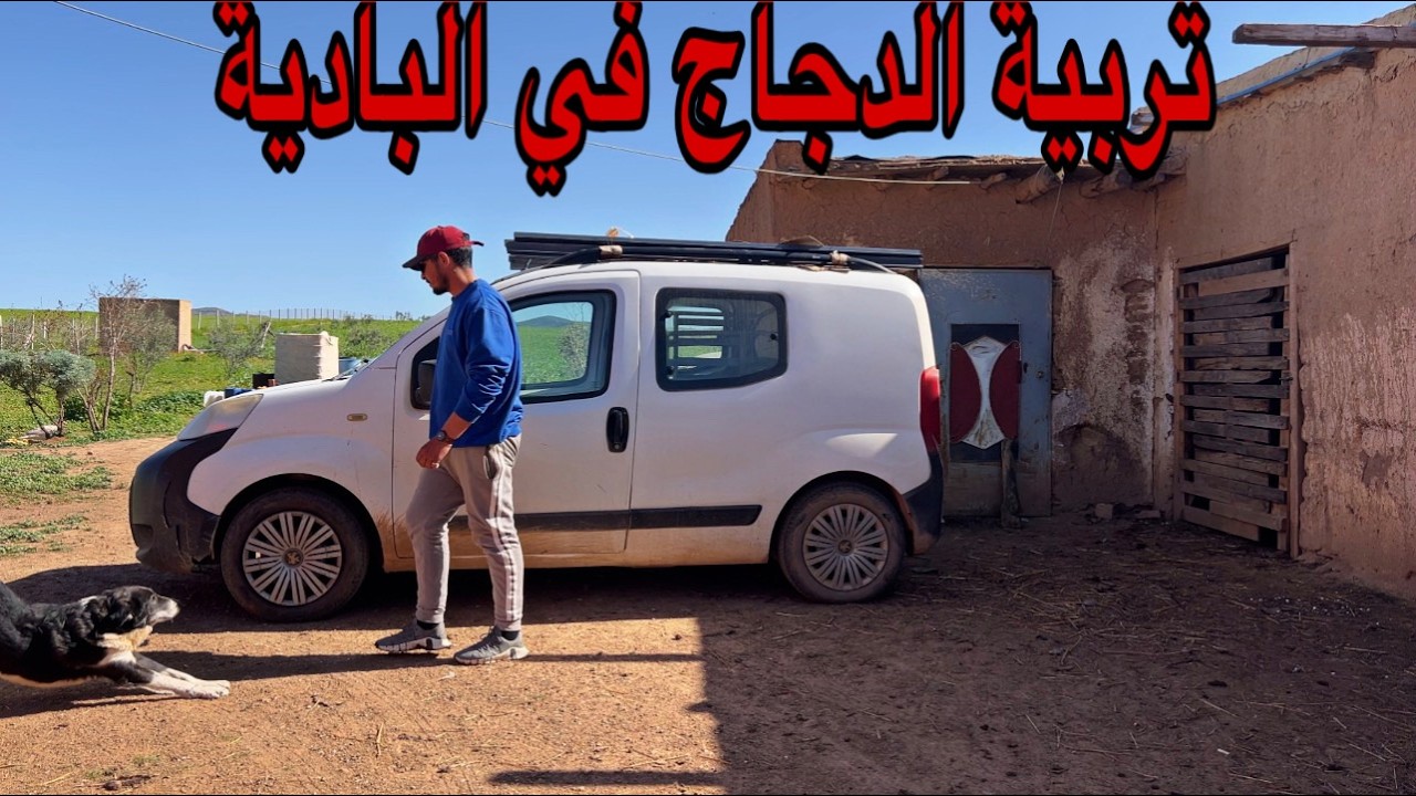 العمل في البادية شنو شريت من الخميسات إرسال البيض أجواء رائعة في البادية