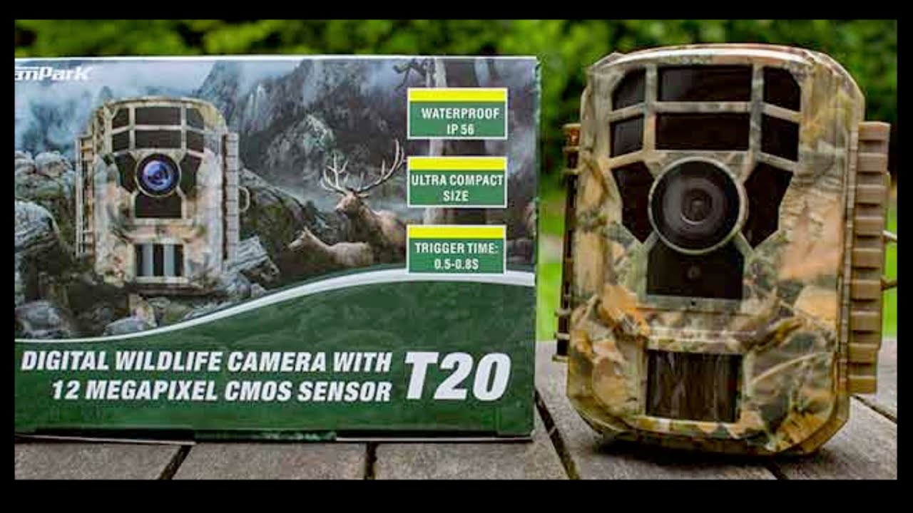 Campark T20 Trail Camera - Night Video Footage