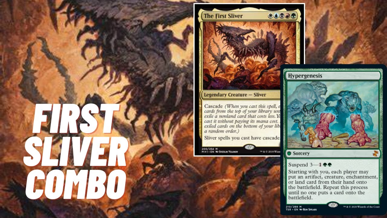 The First Sliver Combo! Hypergenesis Combo EDH