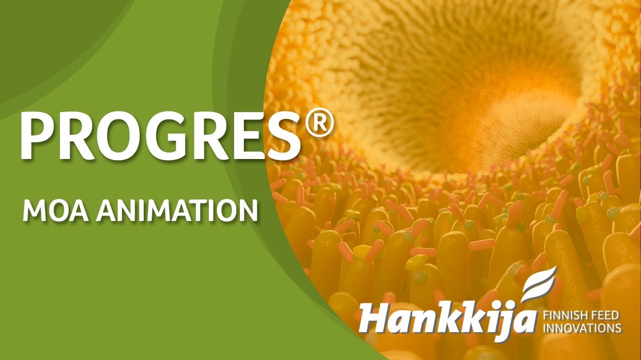 Progres®: Resin acids for gut integrity