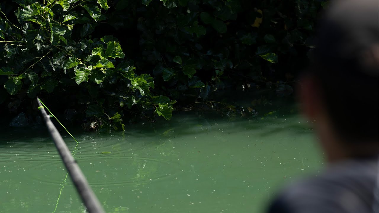 The Self Hooking Pole Rig