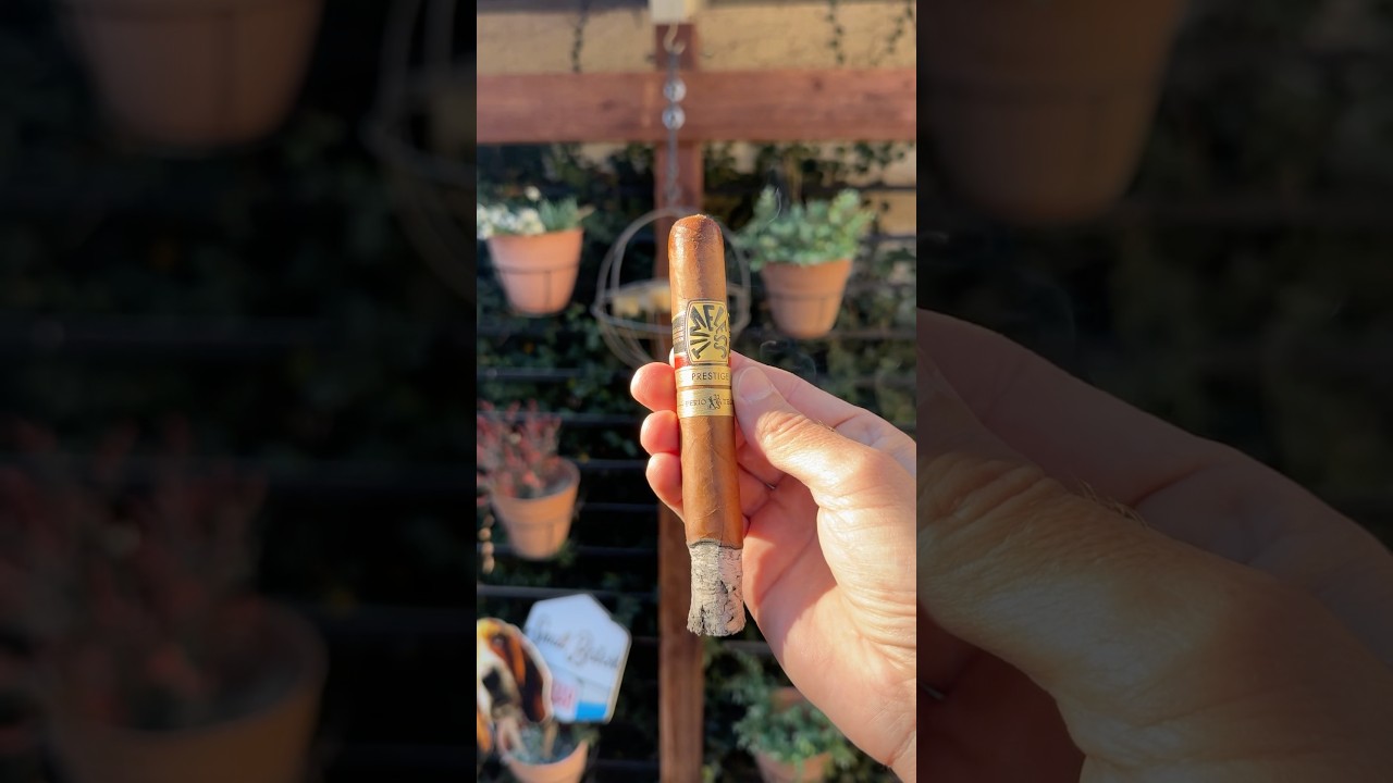 A prestigious cigar 🤌