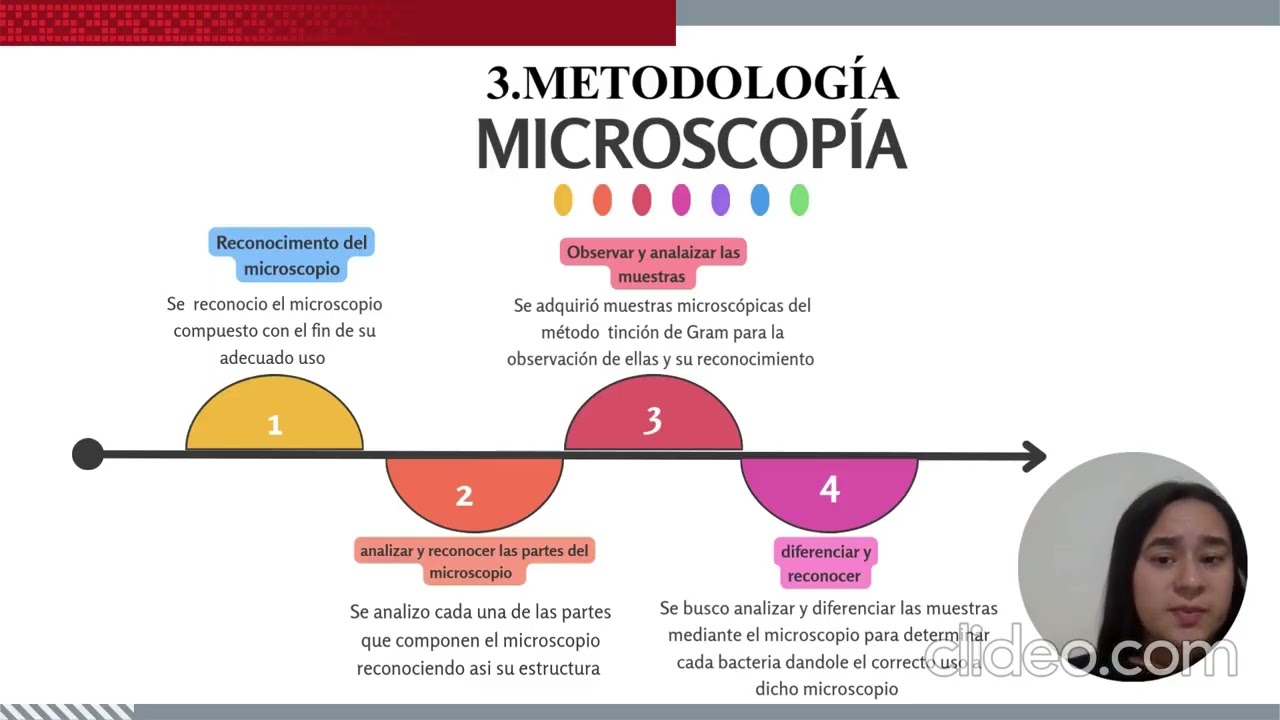 Informe de microscopía