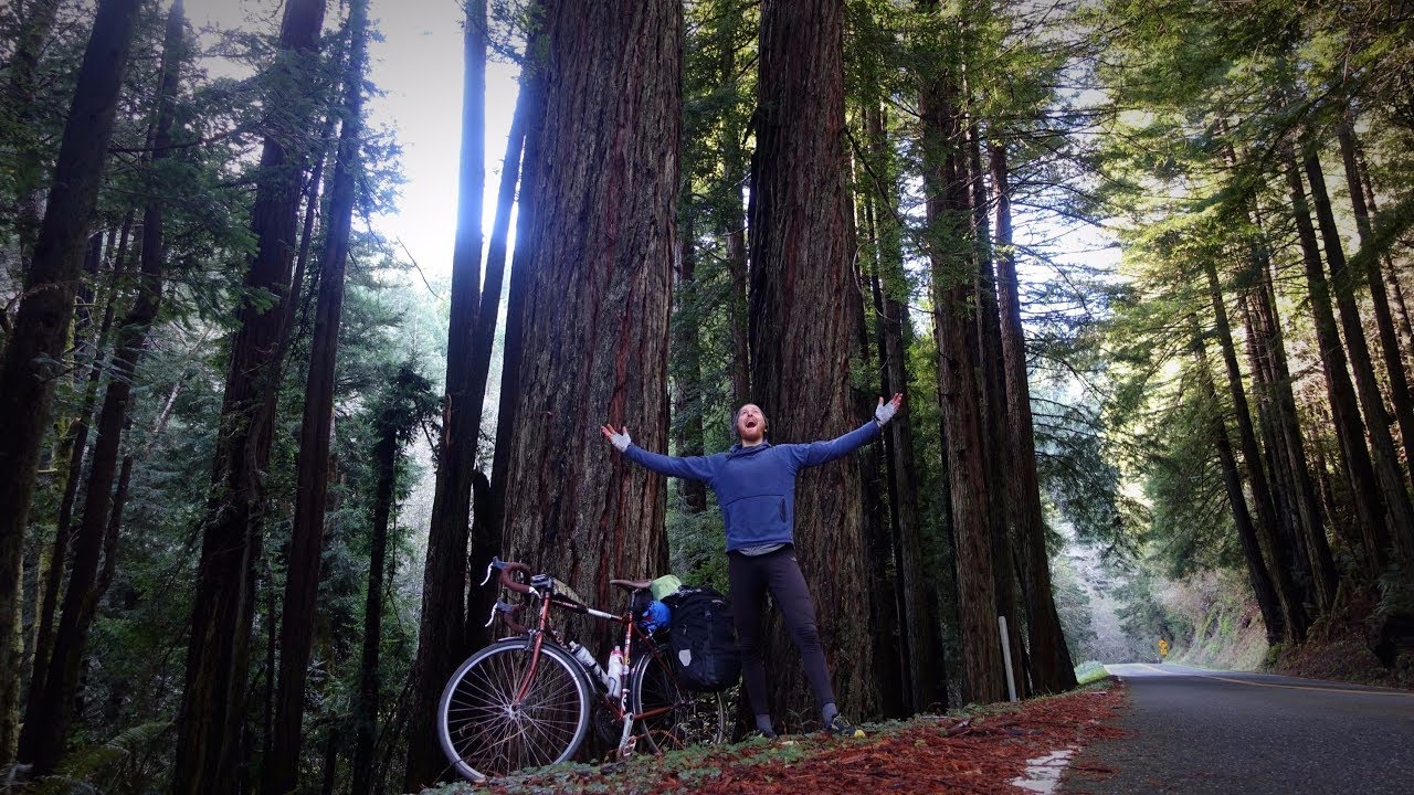 I Made It to the MARIJUANA Mecca of California // NorCal Redwoods