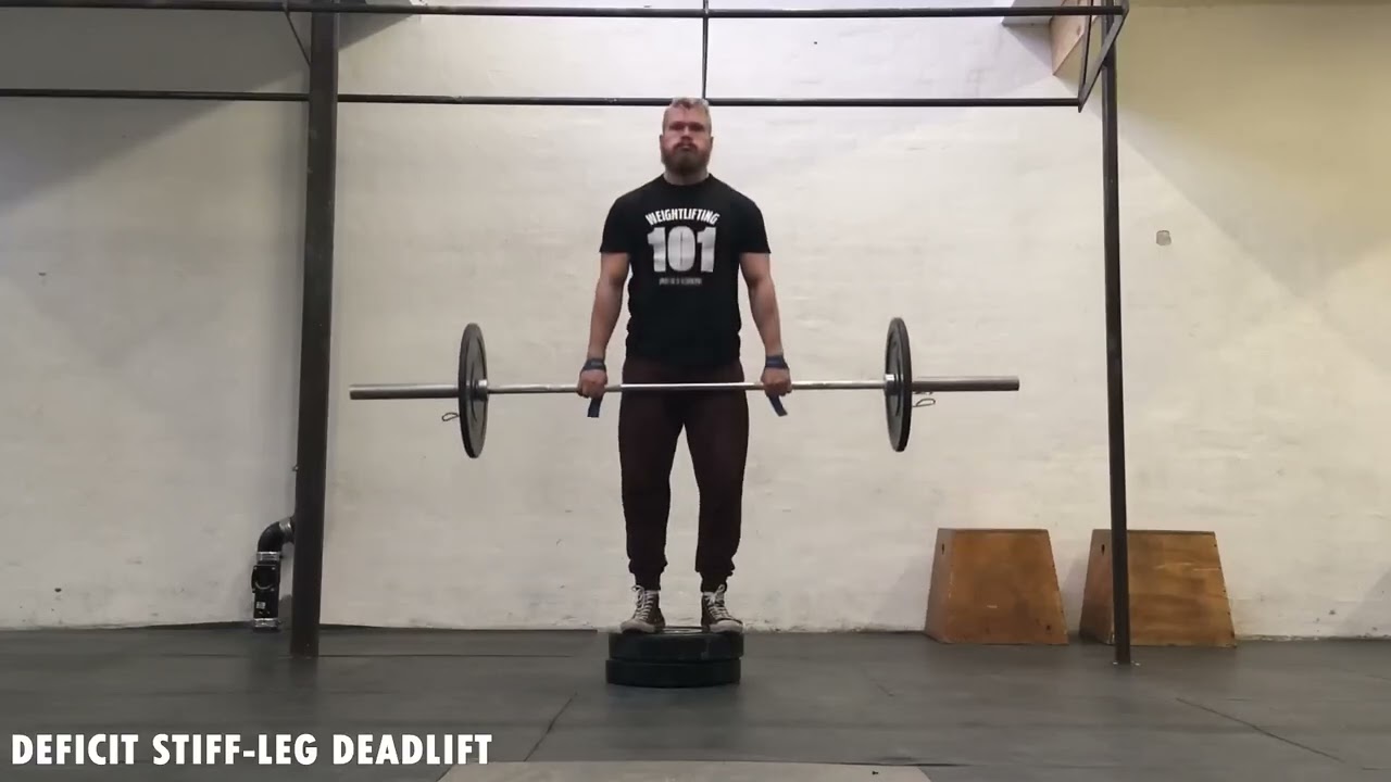 Hamstring 