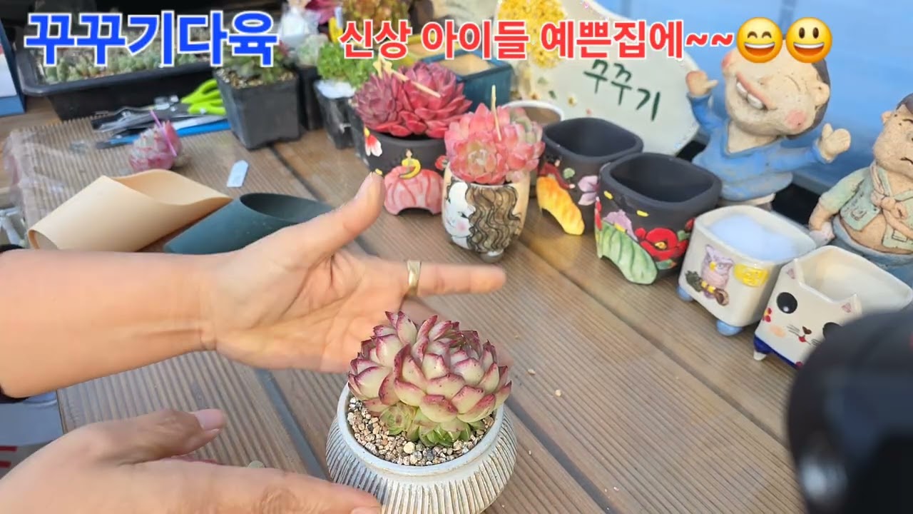 뿌리없는 아이들~😄😃😀