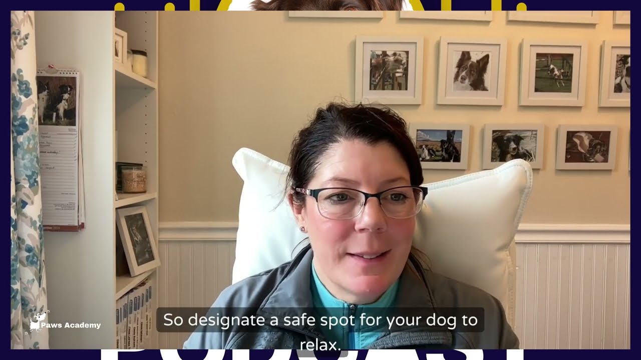A Safe and Calm New Year’s Eve for Your Dog