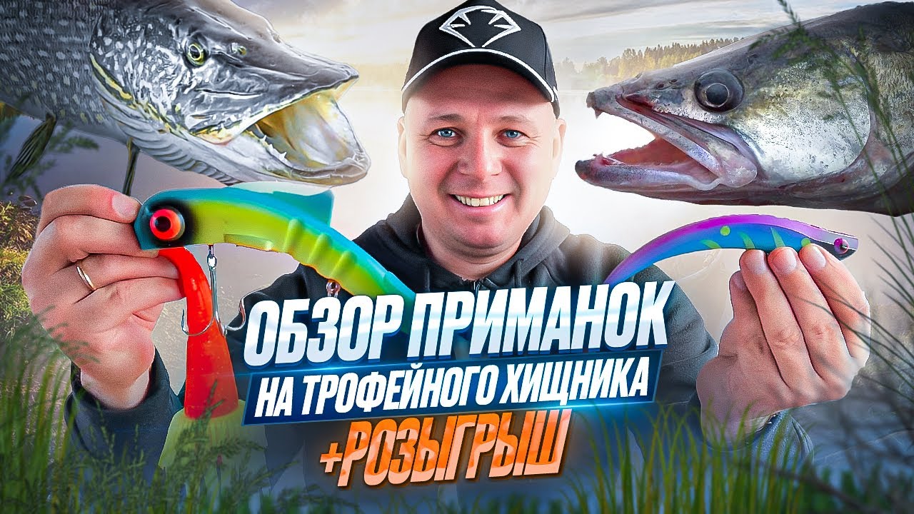 БУЛЬДОГИ, МЫШИ, СЛАГИ + розыгрыш 10 призов от BRIALIN.