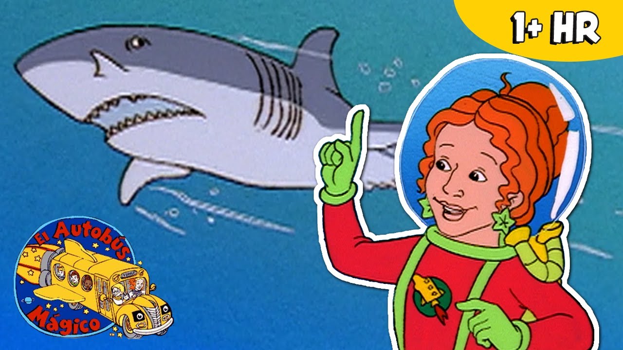 Peces y Animales Acuaticos | Episodios Completos 🚌 El Autobús Mágico - Scholastic
