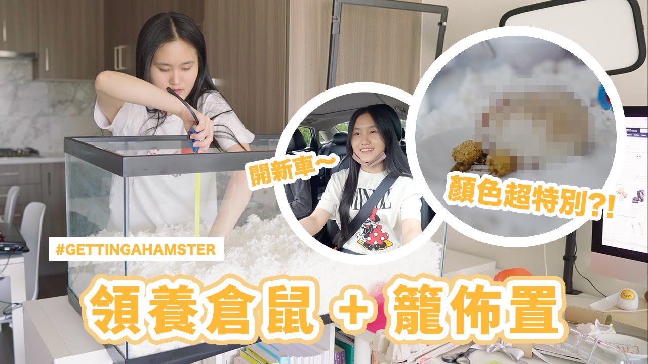 ▸ [ 日常VLOG ] 領養倉鼠＋倉鼠籠佈置 🐹 開新車帶家裡新成員回家 🚗 ｜ 新手養倉鼠知識 📚｜情侶日常 VLOG