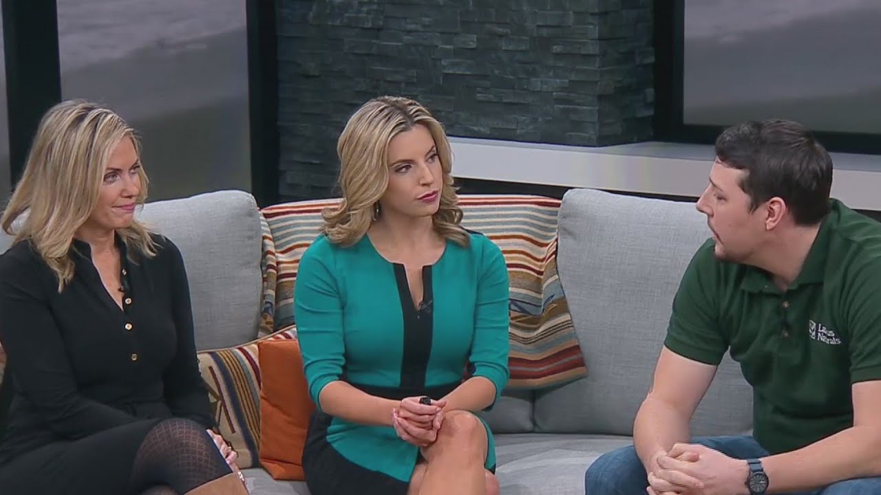 CBD Questions answered for National Hemp Day