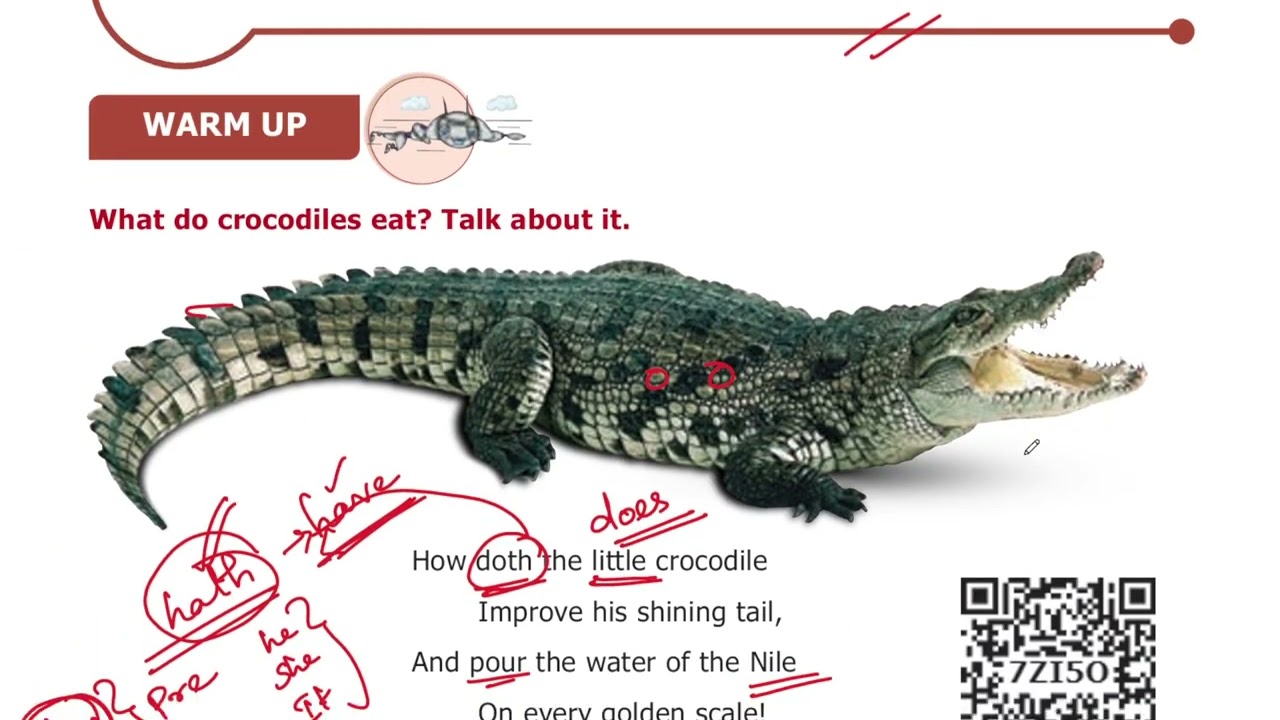 The Crocodile Poem | 6th Std English Poem | Explanation Video #TET_Exam #English_Video