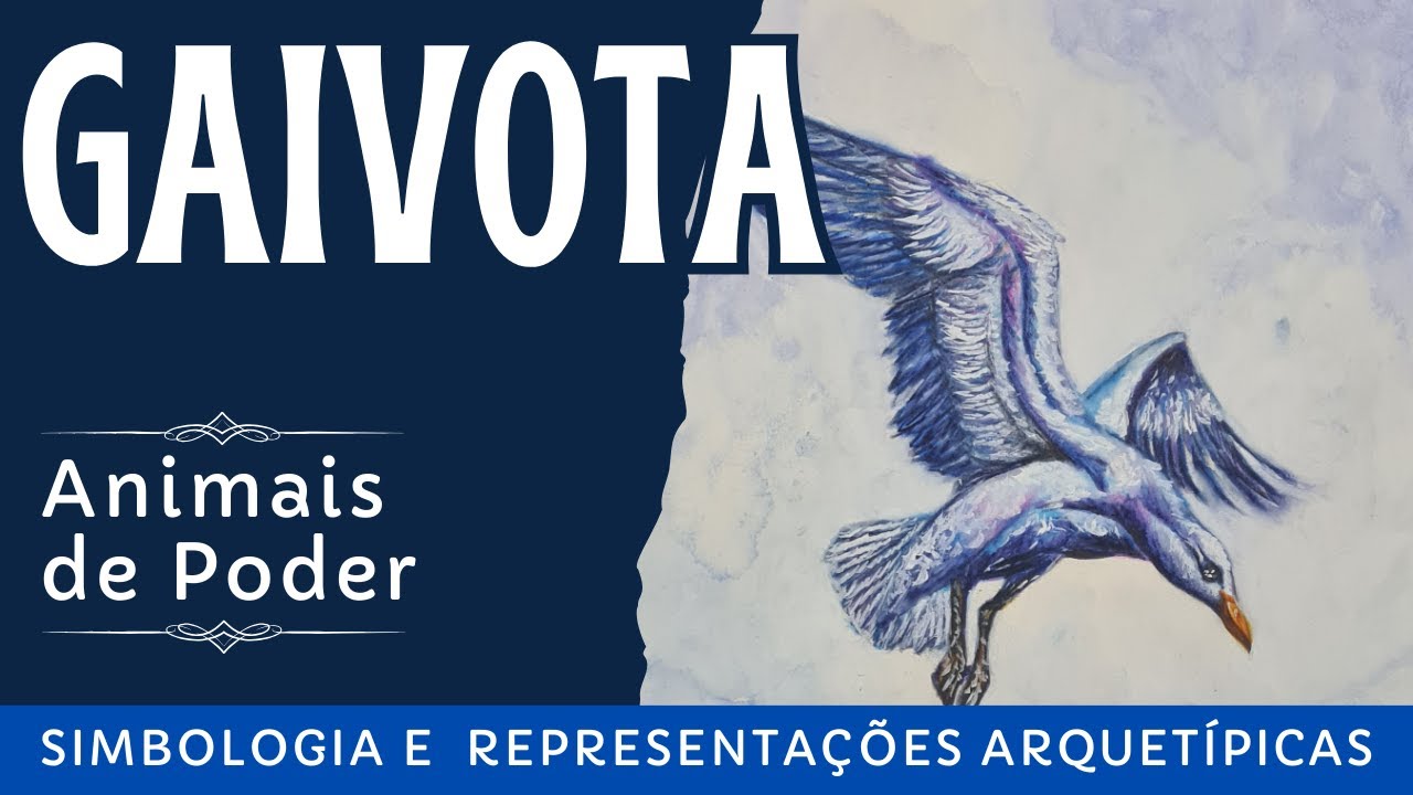 A gaivota como animal de poder -  representações arquetípicas e simbologia