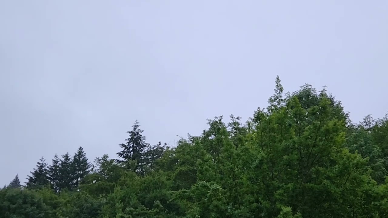 Good morning 6.27.25