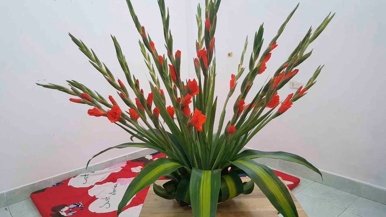 Cách cắm hoa lay ơn (hoa dơn) nghìn tay đón Tết đơn giản