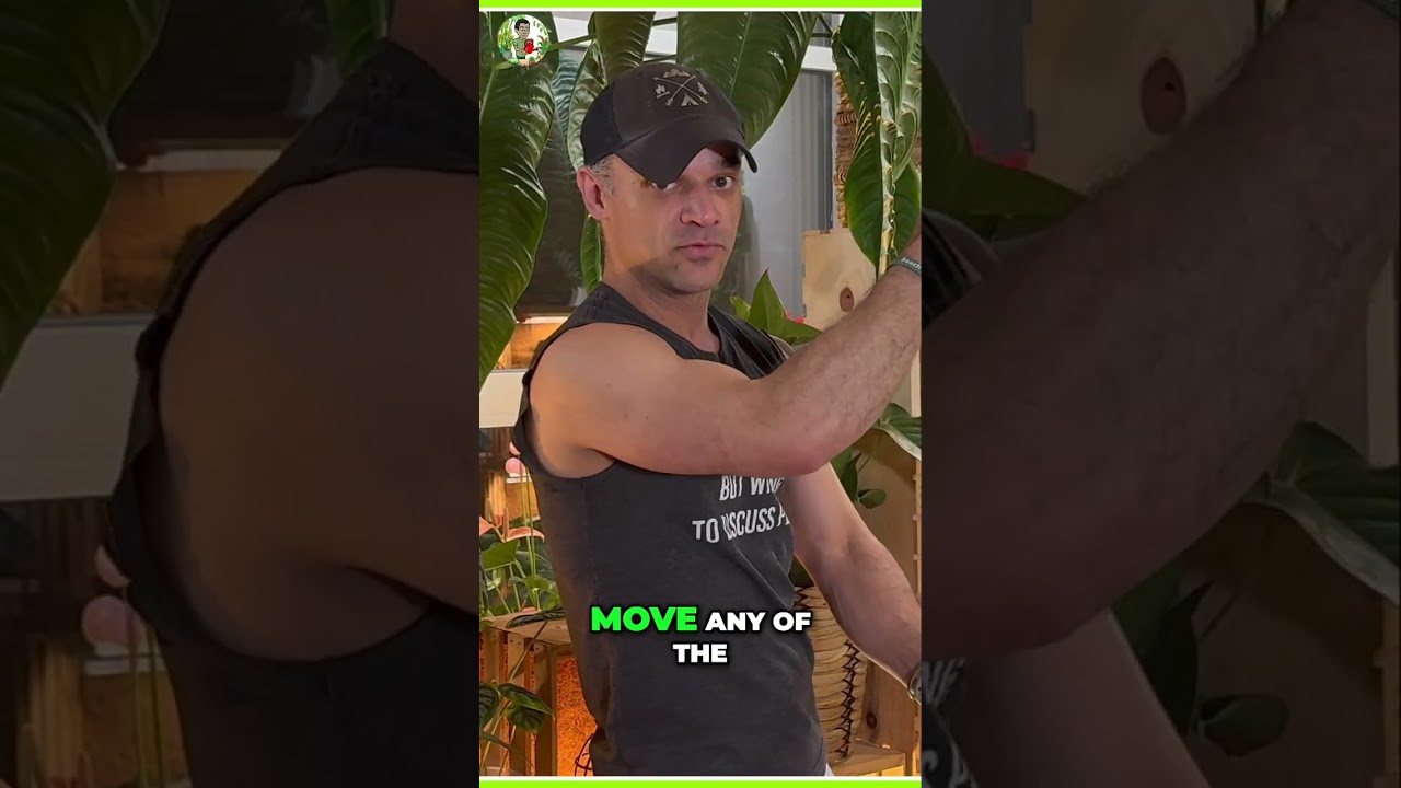 Level Up Your Plant Display with This Grow Lighting Hack!