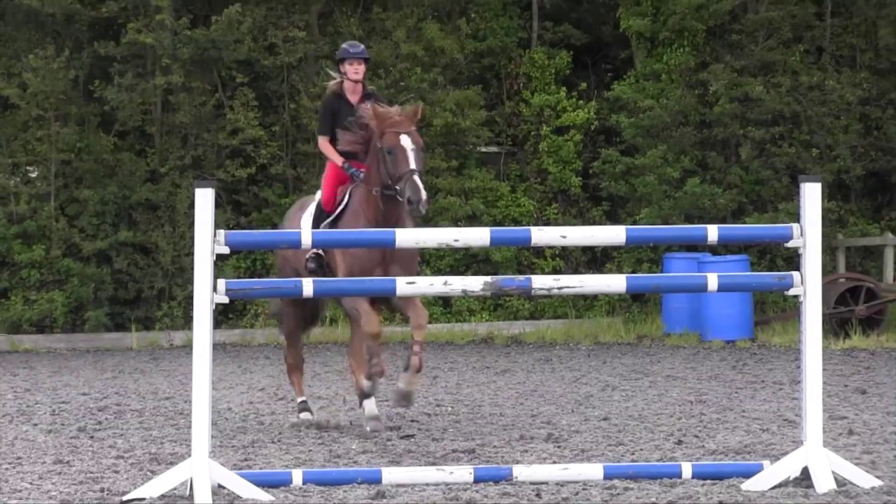 Horse&Rider Magazine &ndash; February 2020