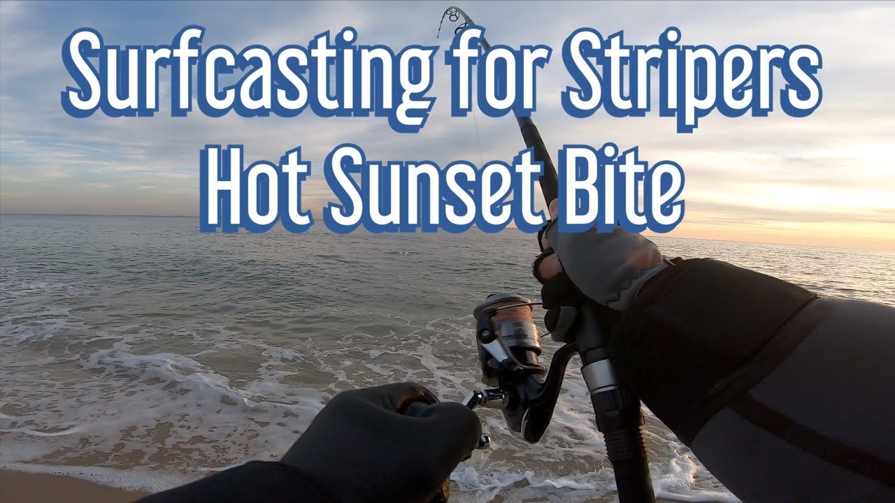 Surfcasting for Stripers - Hot Sunset Bite - Tsunami Sand Eel - Long Island NY