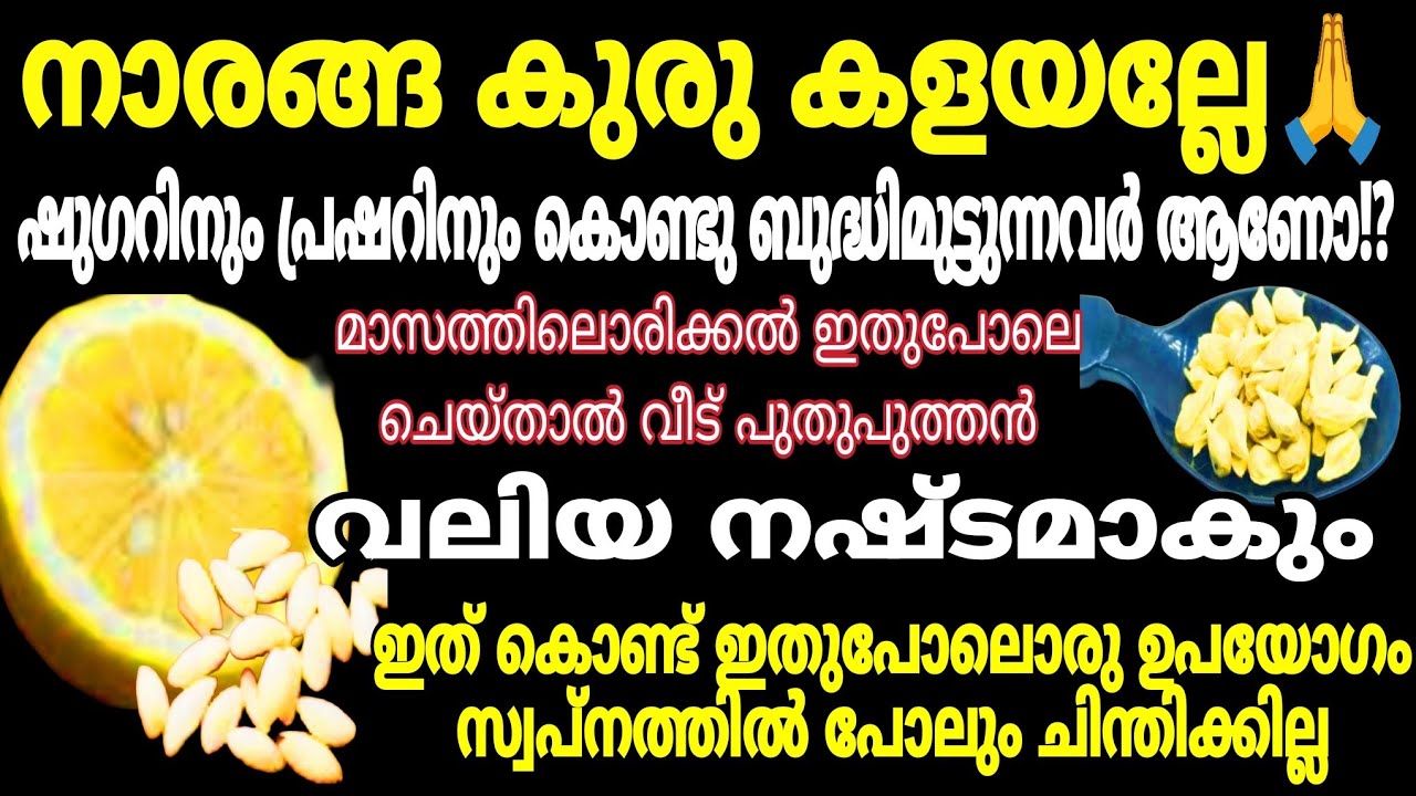 നാരങ്ങ കുരു വെറുതെ ഉണക്കി കളയല്ലേ | 100 പ്രശ്നങ്ങൾക്ക് പരിഹാരം | Amazing Use's Of Lemon Seeds 