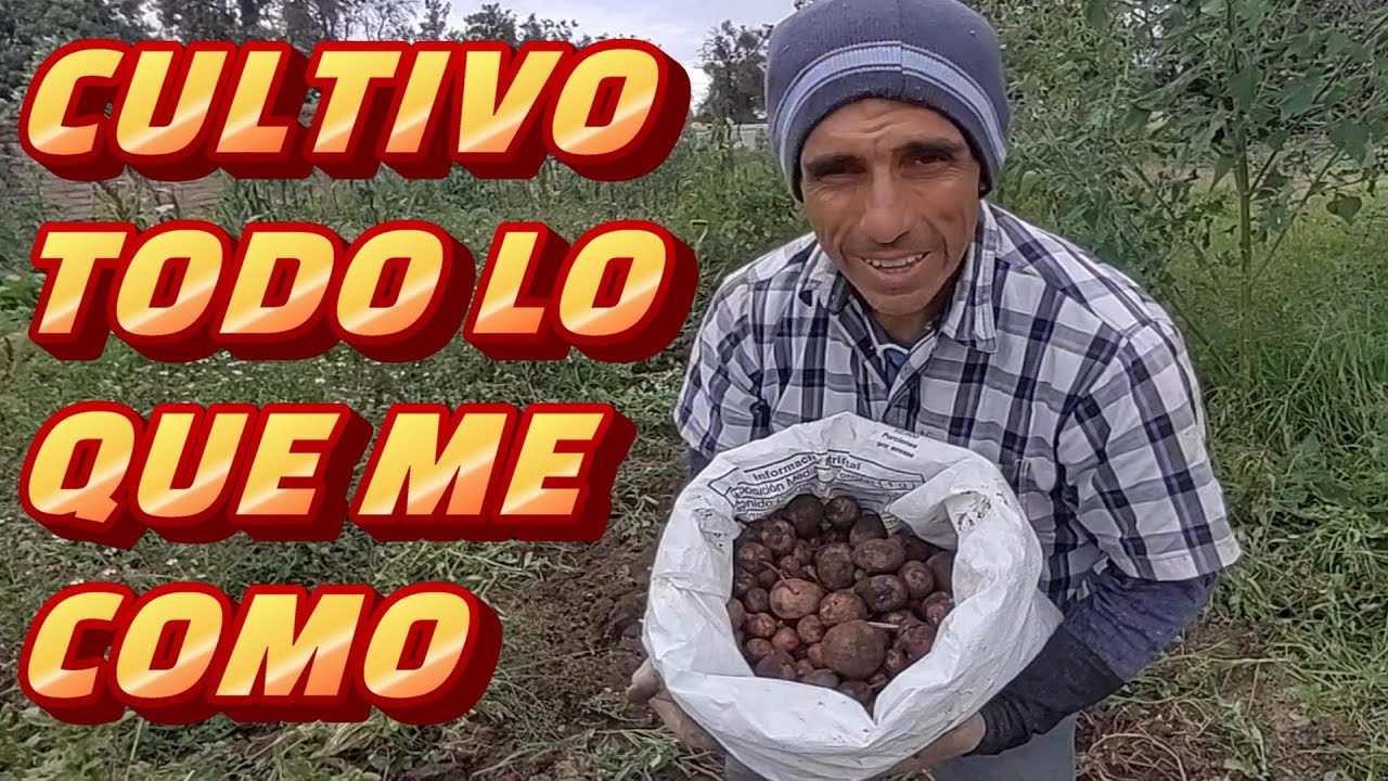 SIEMBRO Y COMO DE TODO, mira algunas increíbles COSECHAS 2024