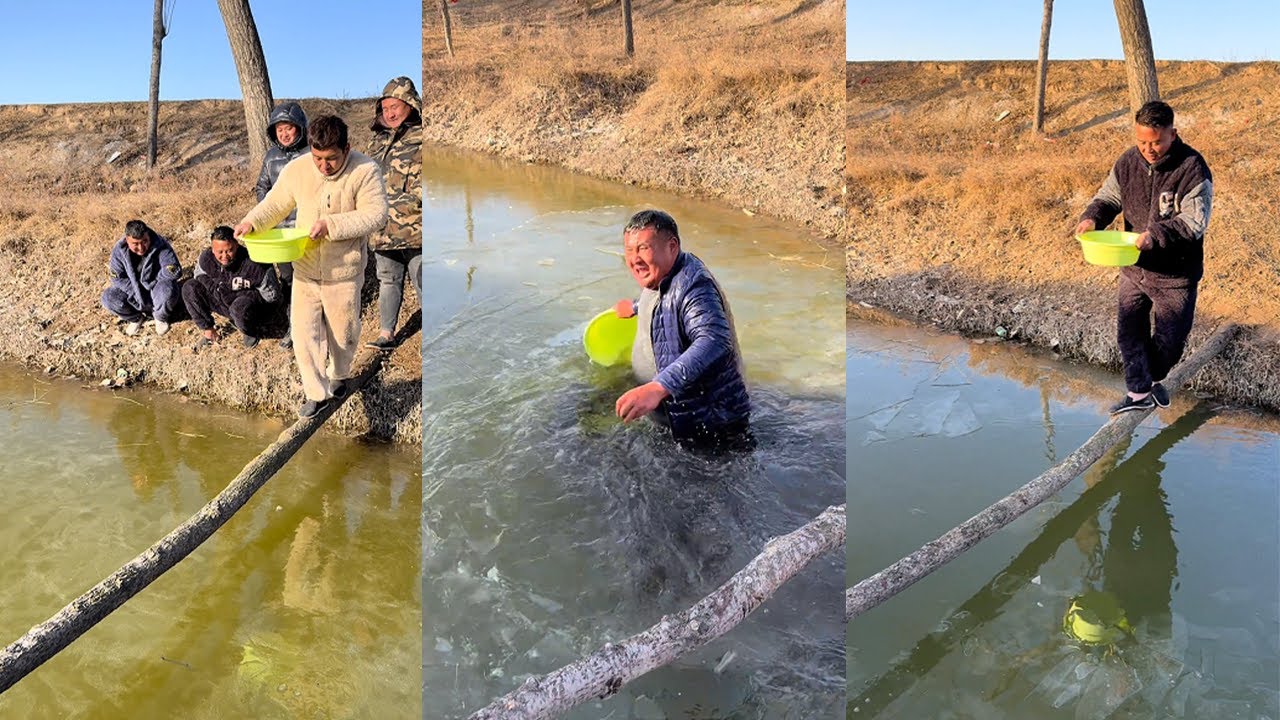 Crossing a narrow log bridge over a winter stream: a challenging task.#funny#hilarious