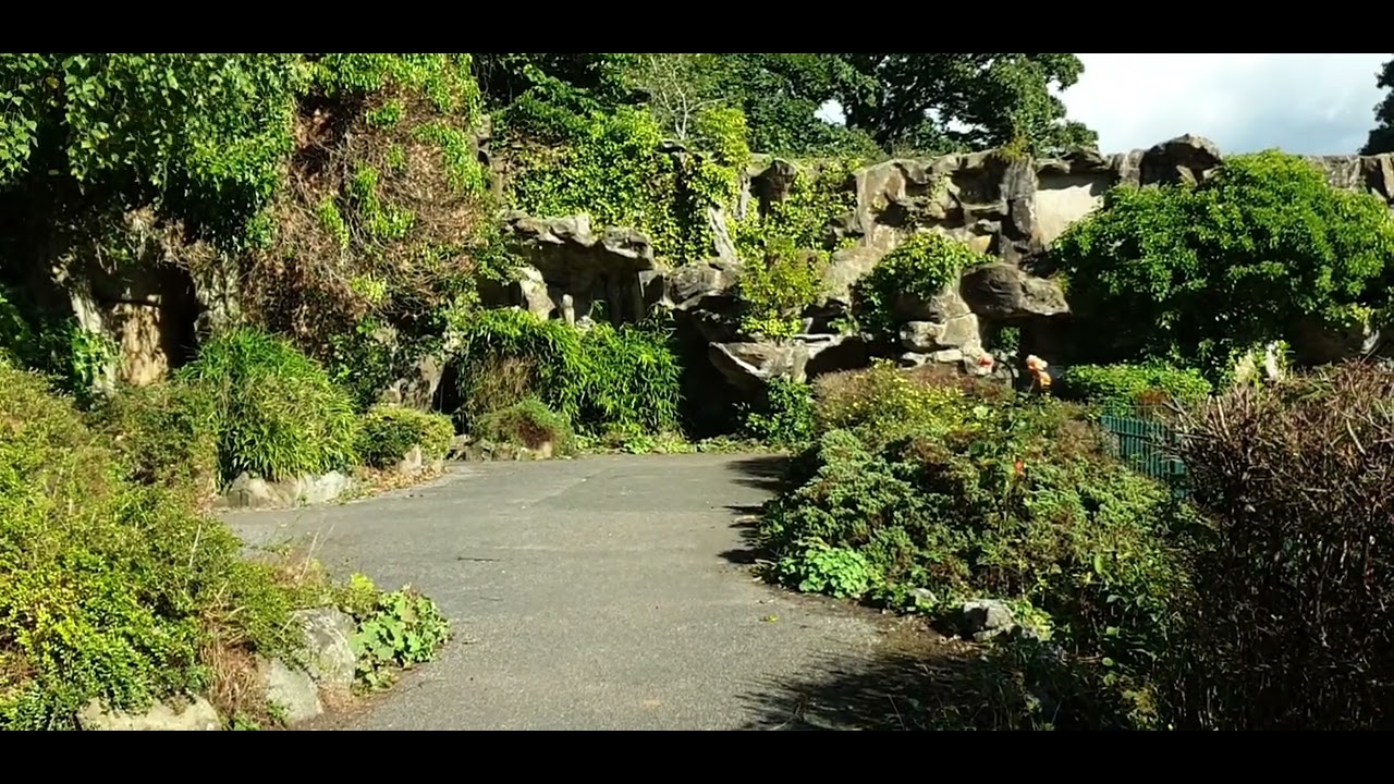 Holden park Oakworth