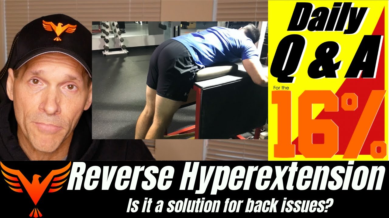 Q & A for The 16% - Reverse Hyper - Solution for Back Issues? - BillHartmanPT.com