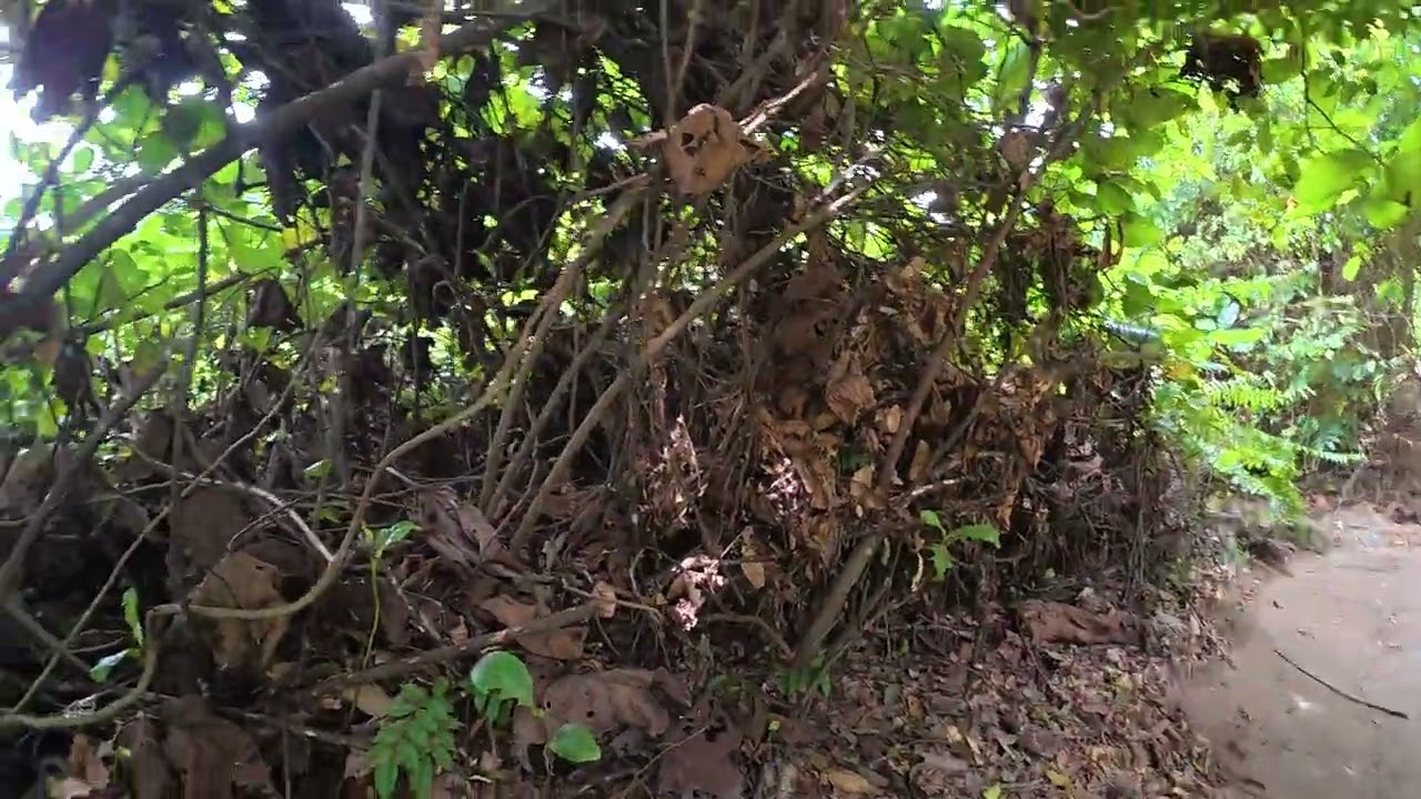 Solo Hiking video 4