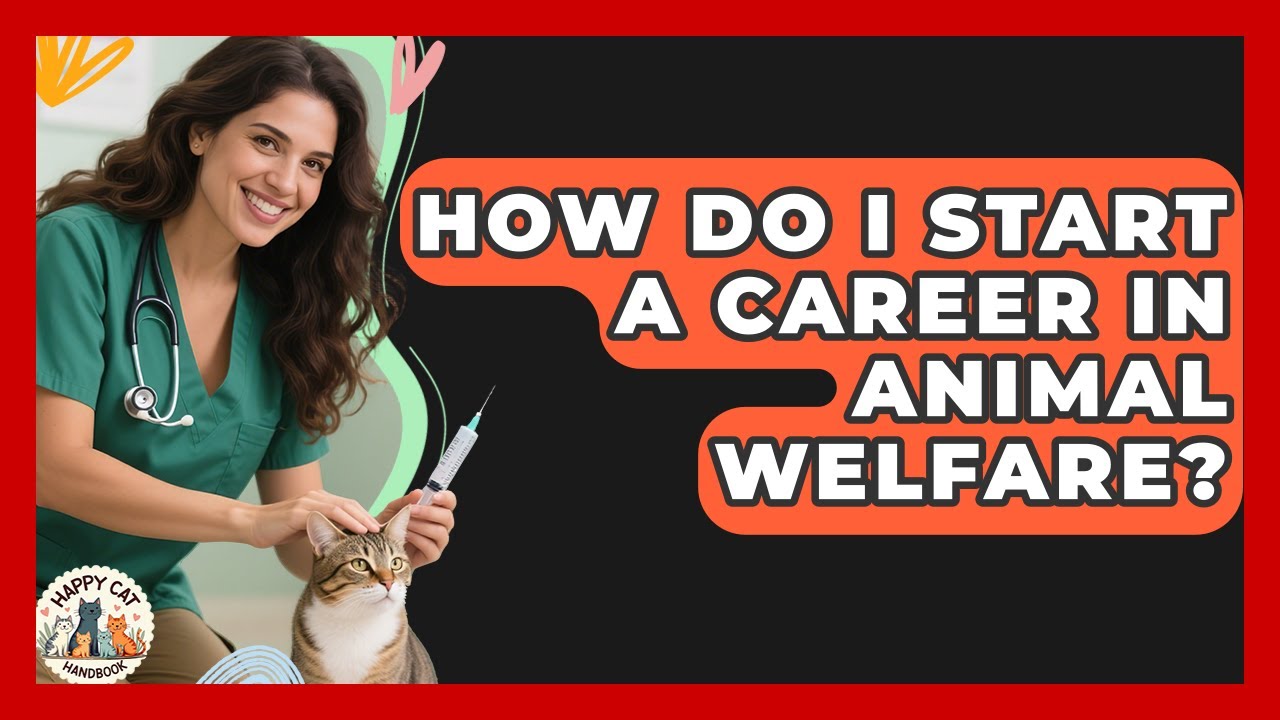How Do I Start a Career in Animal Welfare? - Animal Care Jobs