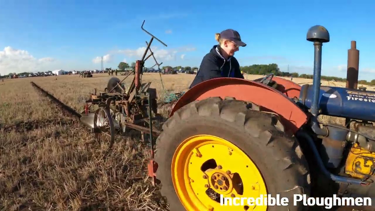 1950s Fordson Major E27N 4-Cyl Diesel Tractor (45 HP) Ransomes at Flintham Ploughing Match 2025