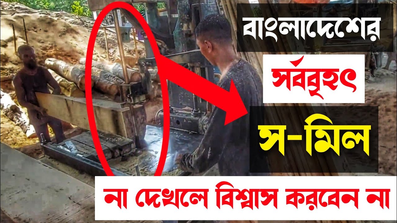 BIGGEST  MODERN SAWMILL BANGLADESH