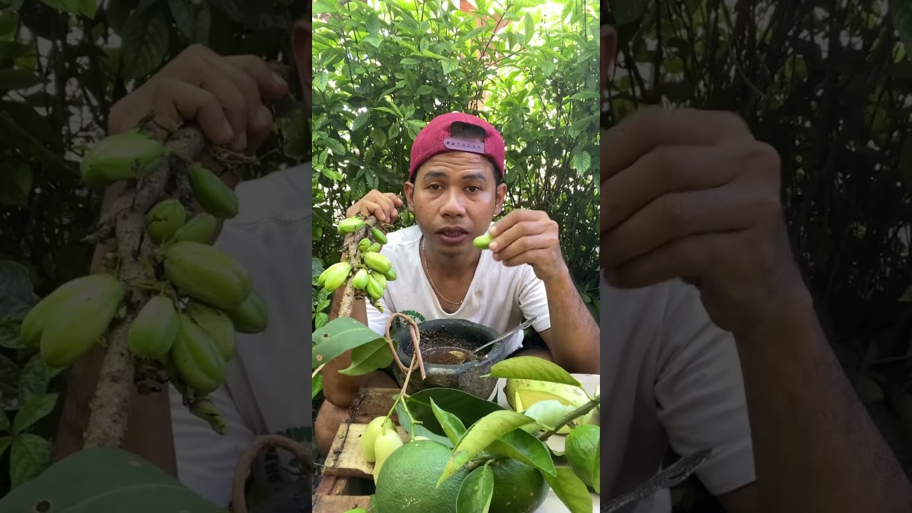 Rujak khas thailand #feedshorts #asmr #viral #mukbang #rujak #rujakbuahsegar #rujakan  #thailand