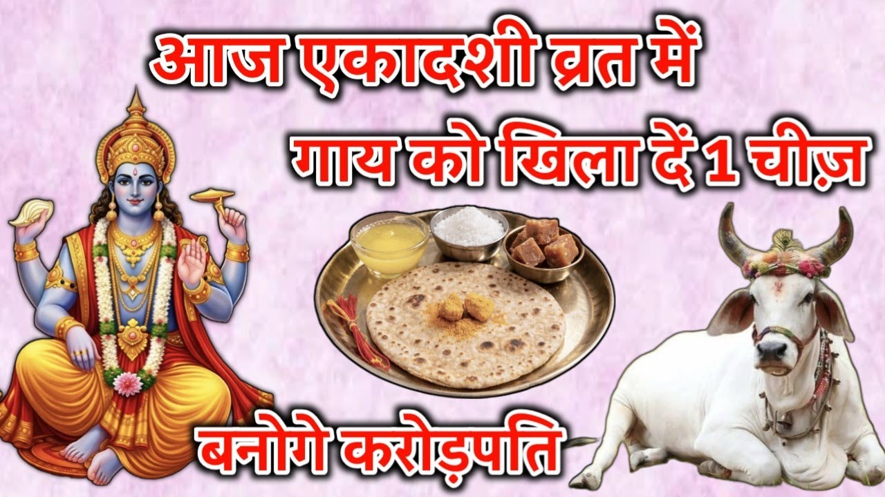 15 मार्च 2026 रविवार पापमोचनी एकादशी के दिन गाय को खिला देना 1 गुप्त चीज़ इतना पैसा आएगा कि..#एकादशी