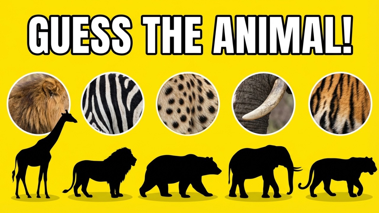Guess the Animal 🐾 | Guess the Animals Animal Quiz for Kids | Learning Video