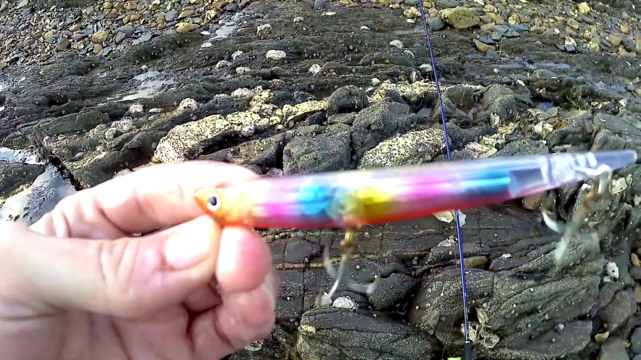 Sea bass early morning fishing session [Aliexpress Duo Bay Ruf Manic]