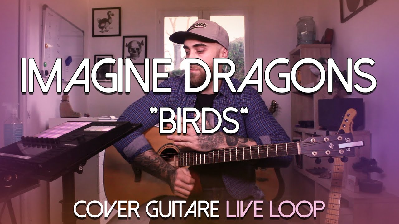 Imagine Dragons - Birds (COVER GUITARE - LIVE LOOP)